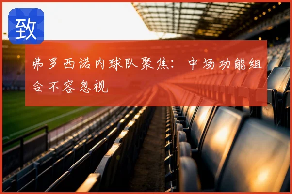 弗罗西诺内球队聚焦：中场功能组合不容忽视
